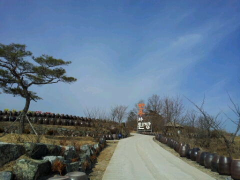 한우와 된장 이미지