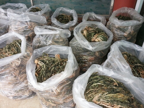 홍산주유소 이미지