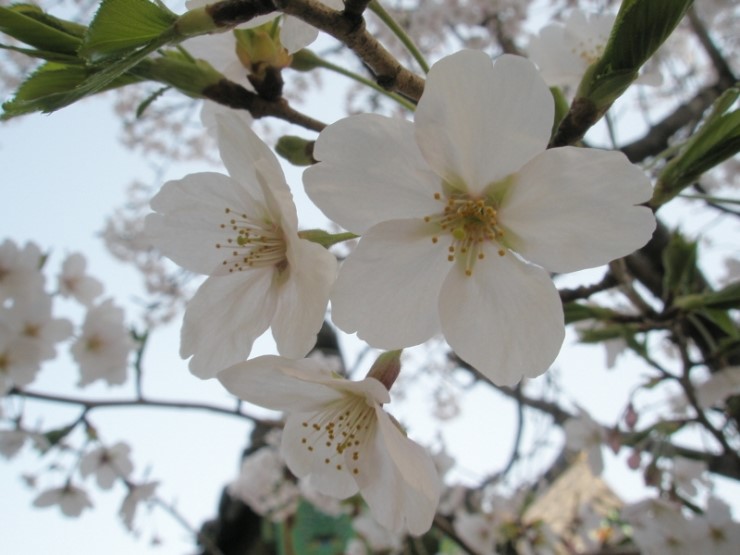 서산시청 이미지