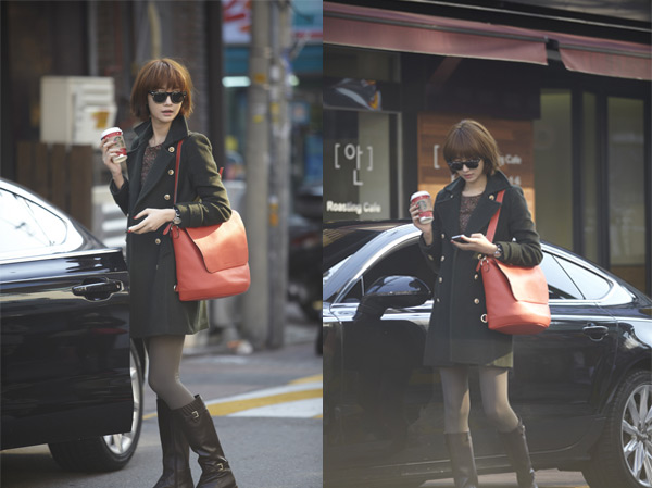 슈발 이미지