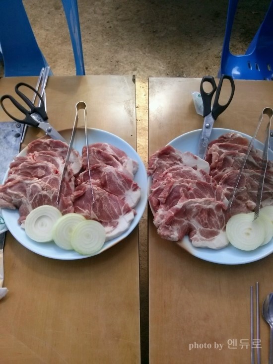 참고기 이미지