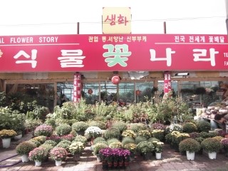 식물꽃나라 이미지