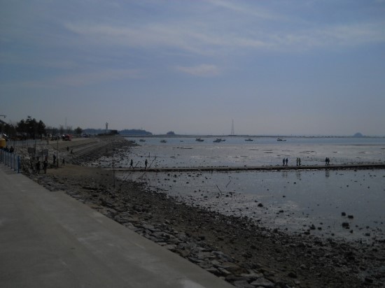 충청회조개구이 이미지