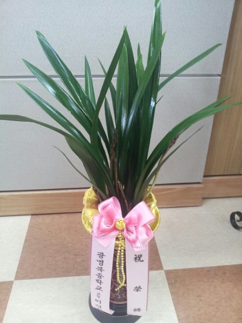 역곡고등학교 이미지