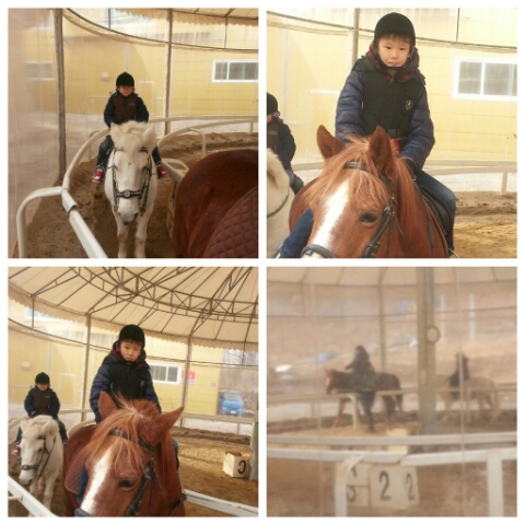 (주)다지기심리운동연구소 이미지