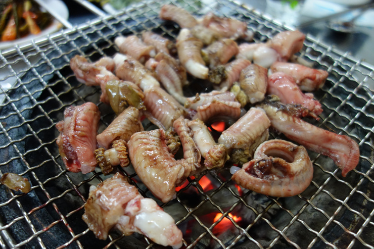 산꼼장어 이미지