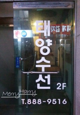 태양수선 이미지