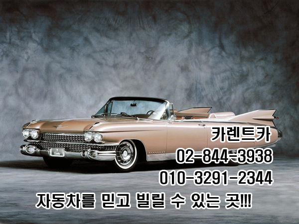강남렌트카 이미지