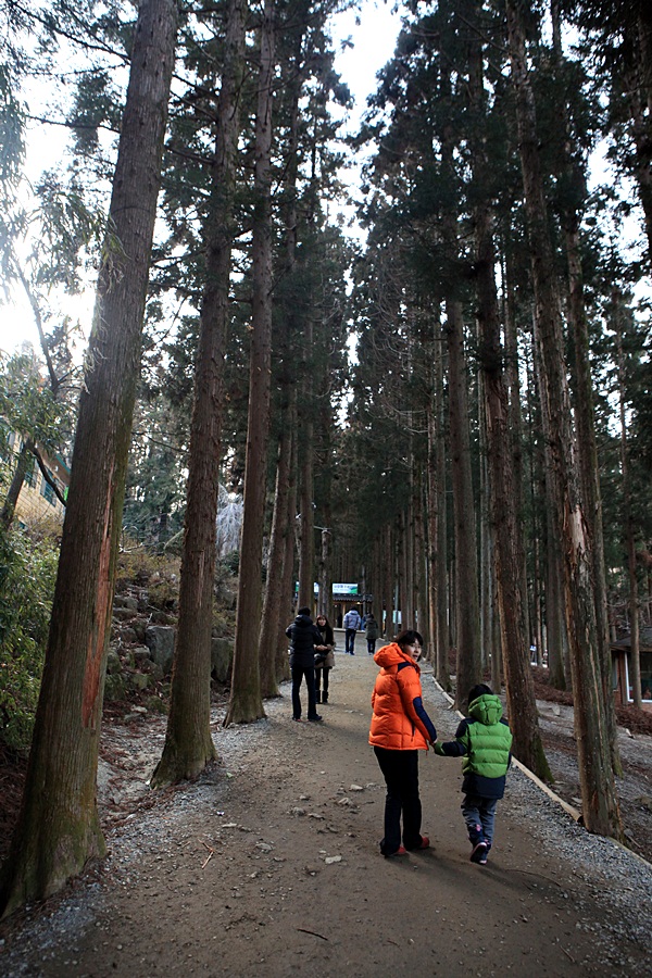 존제산하느제캠핑장 이미지