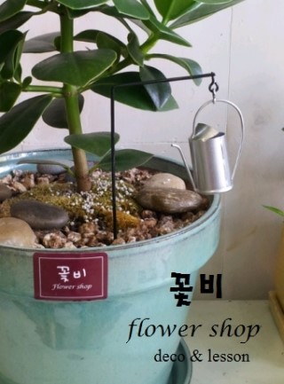 꽃비플라워 이미지