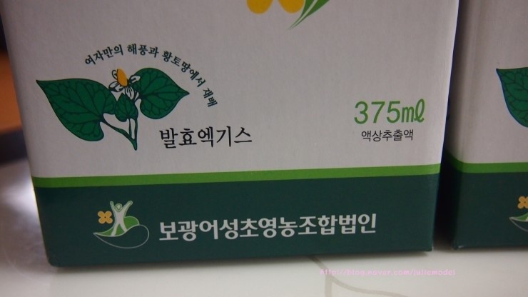 보광어성초영농조합법인 이미지