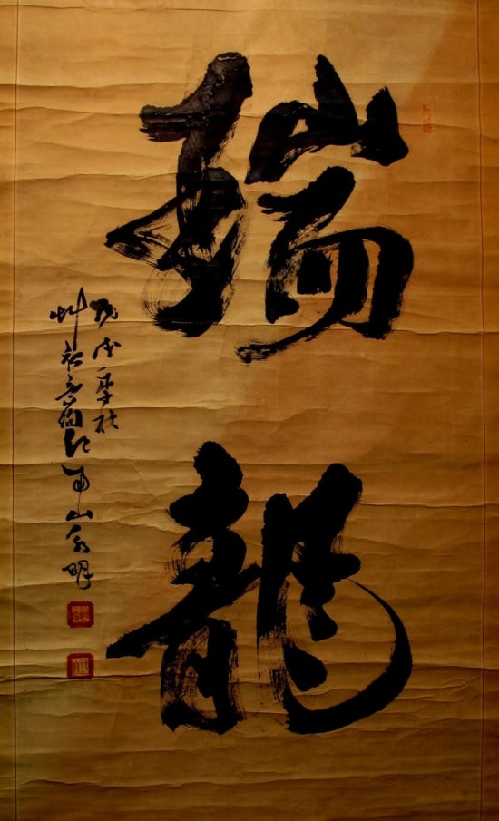 서룡 이미지