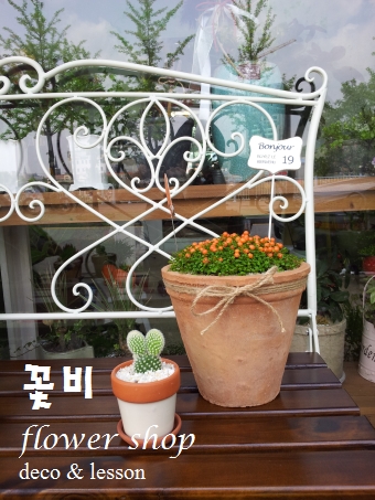꽃비플라워 이미지
