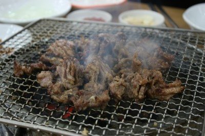 갈매기나라 이미지