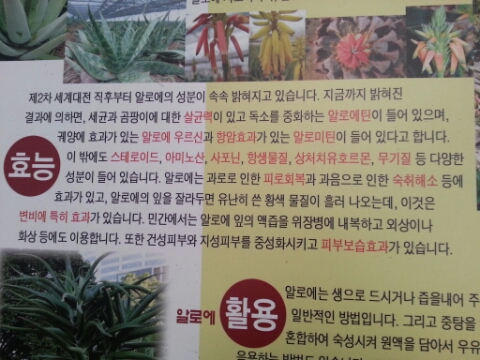 알로에팜영농조합법인 이미지