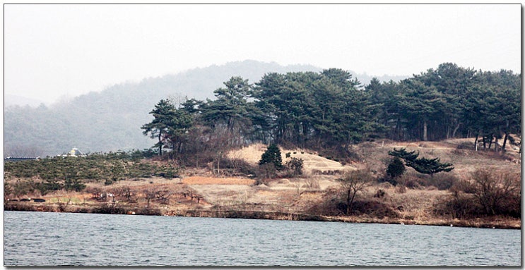 다솜차반 이미지