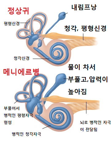 신촌연세이비인후과 이미지