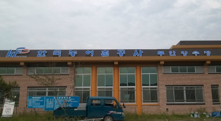샤인애드 이미지