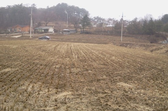 산전리(횡성) 이미지