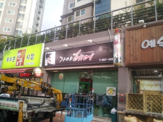 예솔광고사 이미지