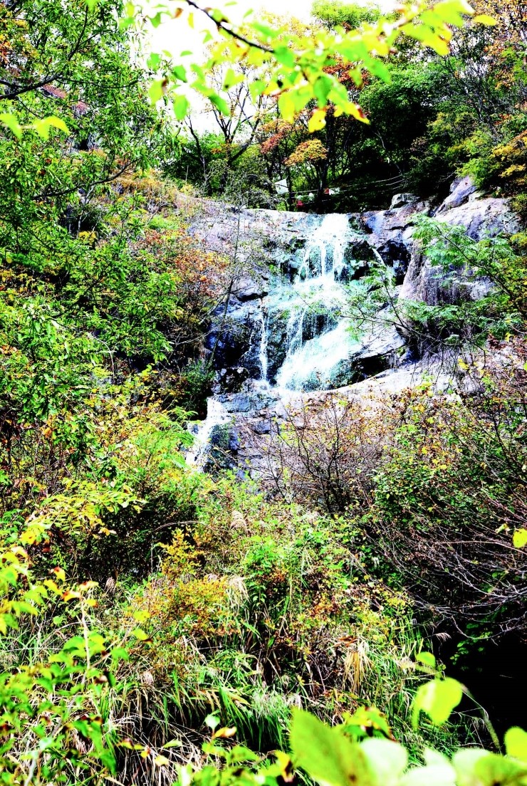 산청지리산힐링센터 이미지