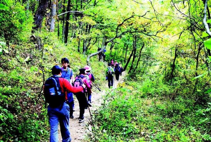 산청지리산힐링센터 이미지