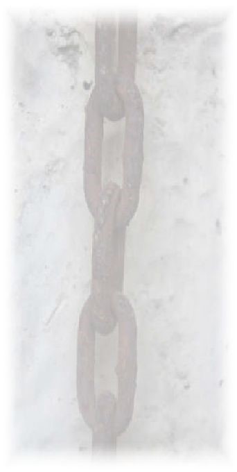 바닐라스토리 이미지