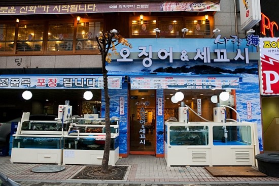 오징어와세꼬시 이미지
