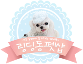 쎄미네집 이미지