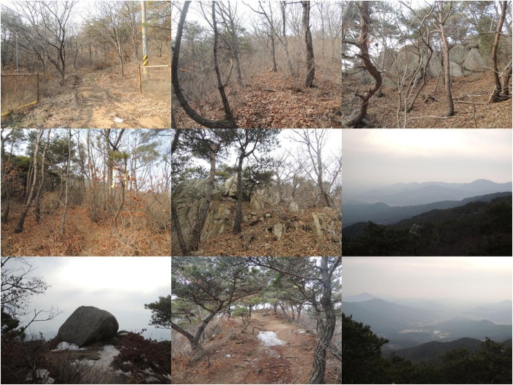 성일주유소 이미지