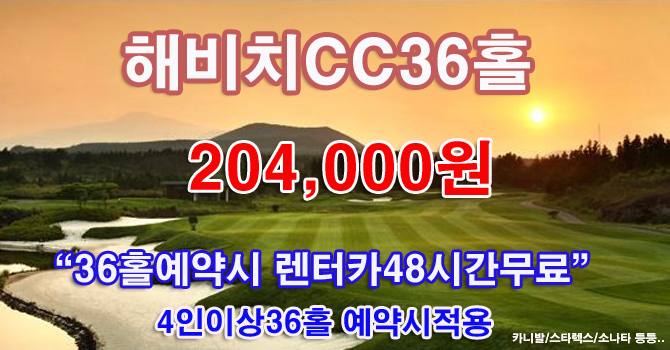 에이스투어렌터카 이미지