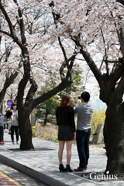 세일마트 이미지