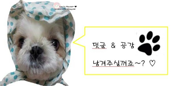 별사주카페 이미지