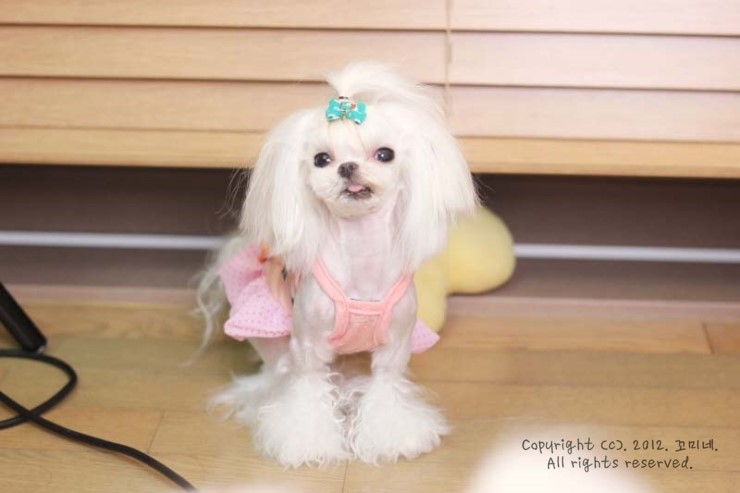 쎄미네집 이미지