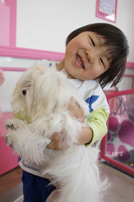 카페엘리 이미지