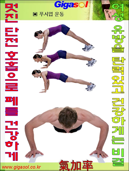 기가솔건강방 이미지