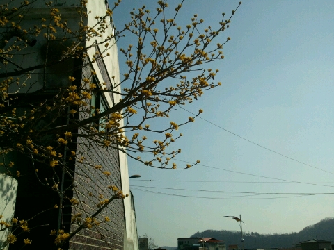 봉화공업사 이미지