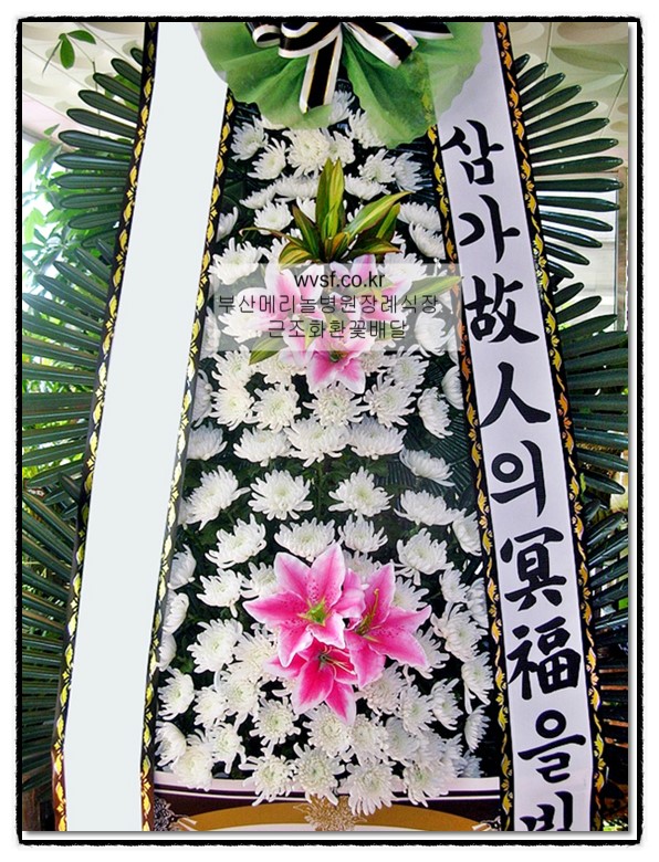 메리놀병원장례식장 이미지