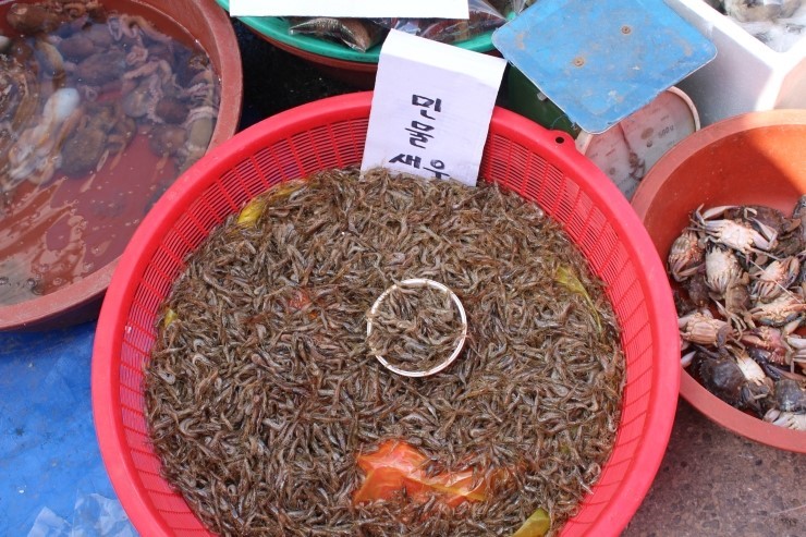 유성장 이미지