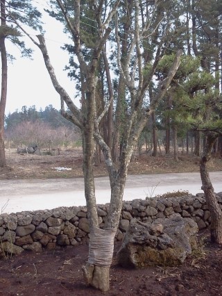 산딸낭 이미지