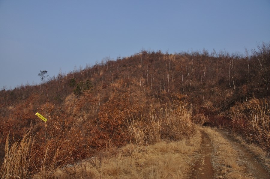 청해축산 이미지