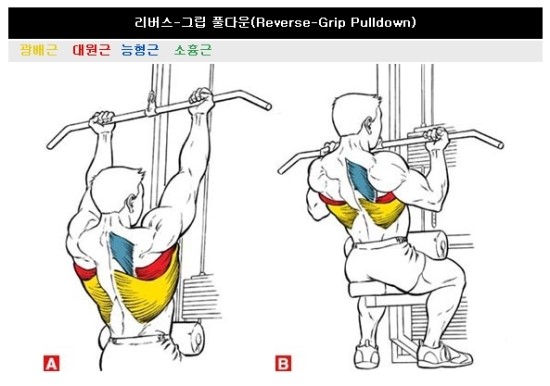 아이비피티 이미지