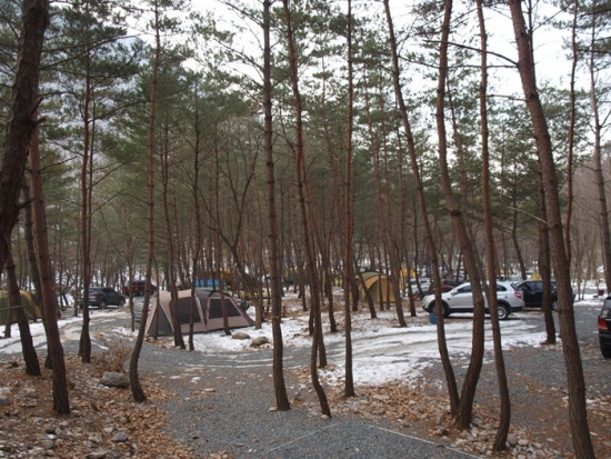 청도힐링오토캠핑장 이미지