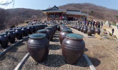 맹골사랑 이미지