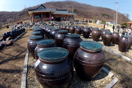 맹골사랑 이미지