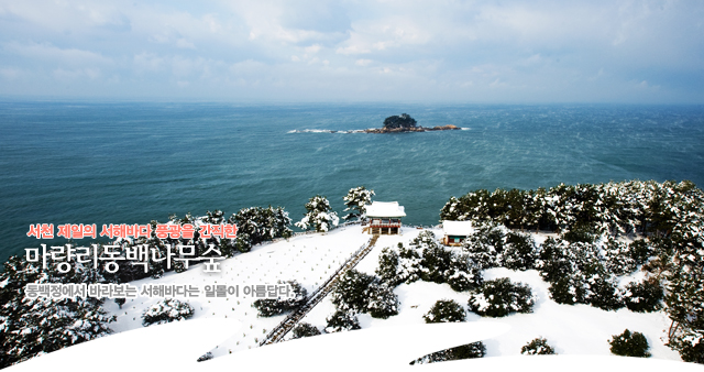 해돋이맛김 이미지