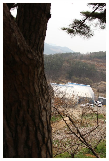 천리농원 이미지