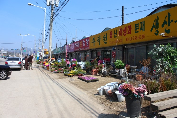 꽃단지농원 이미지
