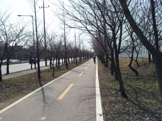 핑시화 이미지