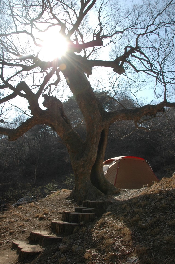 예산느티나무캠핑장 이미지